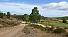 20120815 Romeria 41.jpg 20120815 Romeria 41.jpg